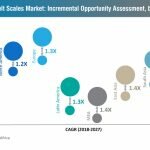 Production and Automation Trend Propel Belt Scale Market Growth